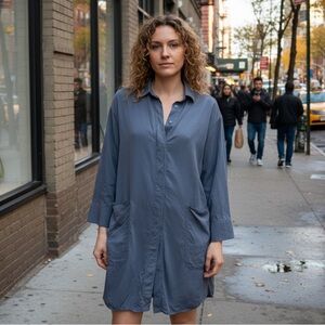 COS Sz 6 Dusty Blue Cinched Back Shirt Dress